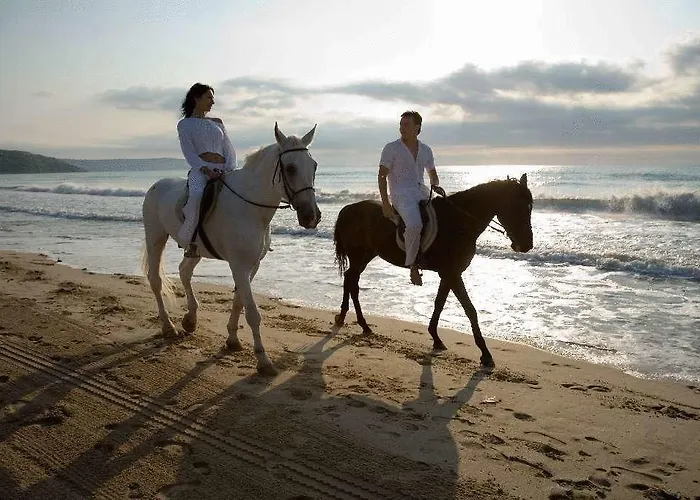 Magnolia Kompleks wypoczynkowy